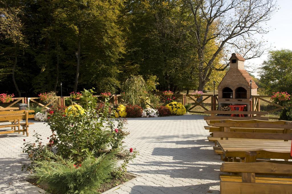 Pension Bella Vista Сигишоара Экстерьер фото